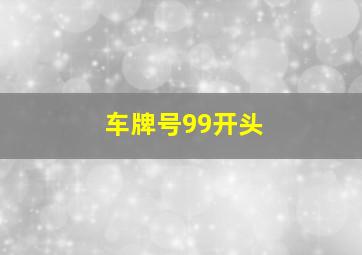 车牌号99开头