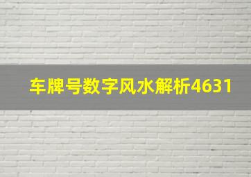 车牌号数字风水解析4631