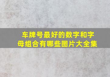 车牌号最好的数字和字母组合有哪些图片大全集