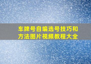 车牌号自编选号技巧和方法图片视频教程大全