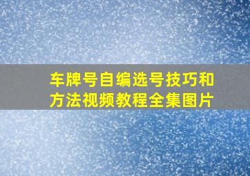 车牌号自编选号技巧和方法视频教程全集图片