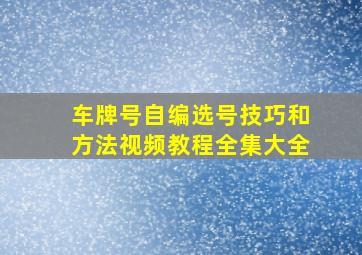 车牌号自编选号技巧和方法视频教程全集大全