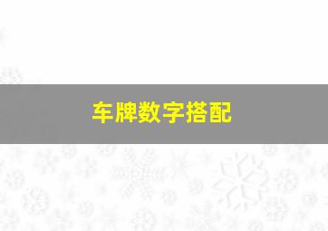 车牌数字搭配