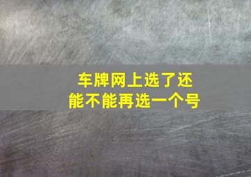 车牌网上选了还能不能再选一个号