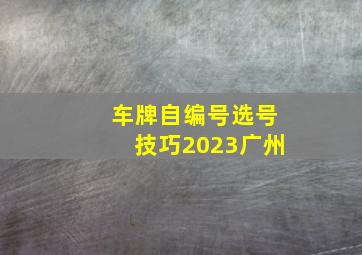 车牌自编号选号技巧2023广州