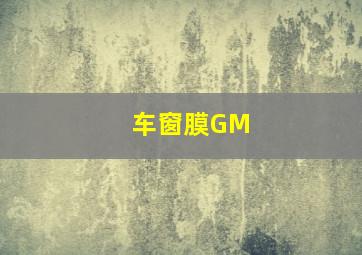 车窗膜GM