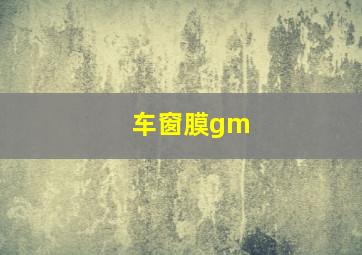 车窗膜gm