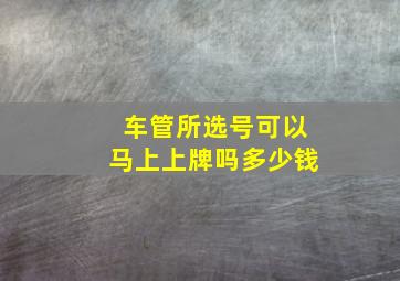 车管所选号可以马上上牌吗多少钱