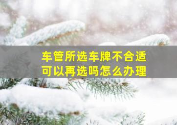 车管所选车牌不合适可以再选吗怎么办理