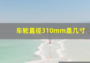 车轮直径310mm是几寸