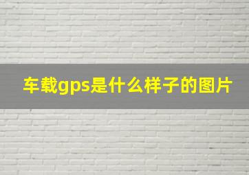 车载gps是什么样子的图片