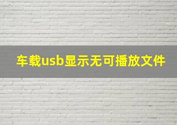 车载usb显示无可播放文件