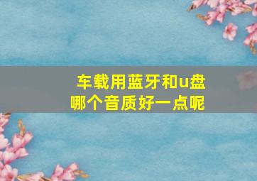 车载用蓝牙和u盘哪个音质好一点呢