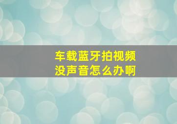 车载蓝牙拍视频没声音怎么办啊