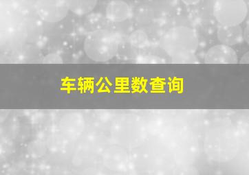 车辆公里数查询