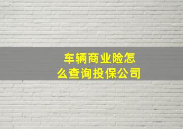 车辆商业险怎么查询投保公司