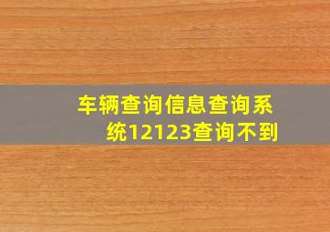 车辆查询信息查询系统12123查询不到