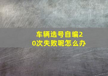 车辆选号自编20次失败呢怎么办