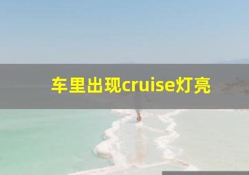 车里出现cruise灯亮