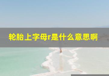 轮胎上字母r是什么意思啊