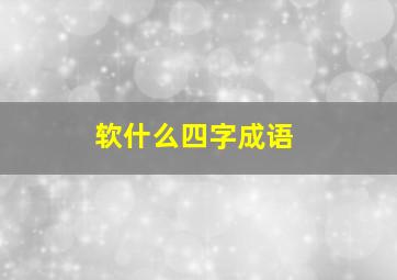 软什么四字成语