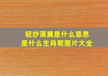 轻纱薄翼是什么意思是什么生肖呢图片大全