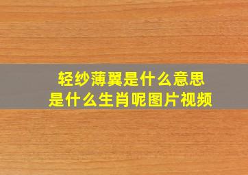 轻纱薄翼是什么意思是什么生肖呢图片视频