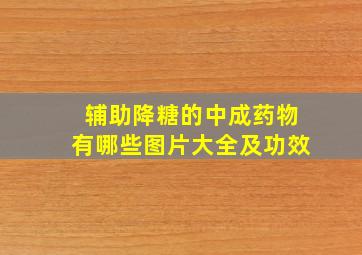 辅助降糖的中成药物有哪些图片大全及功效