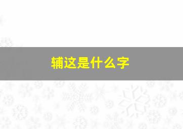 辅这是什么字