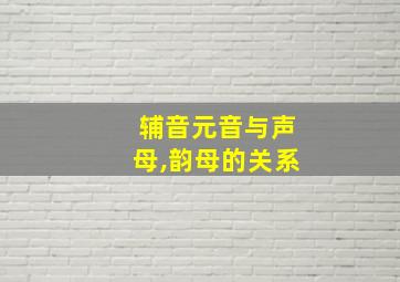 辅音元音与声母,韵母的关系