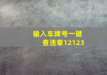 输入车牌号一键查违章12123