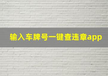 输入车牌号一键查违章app