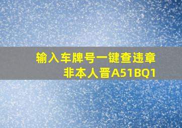 输入车牌号一键查违章非本人晋A51BQ1