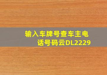 输入车牌号查车主电话号码云DL2229