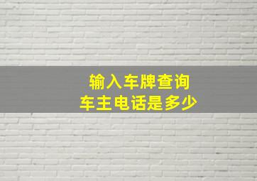 输入车牌查询车主电话是多少