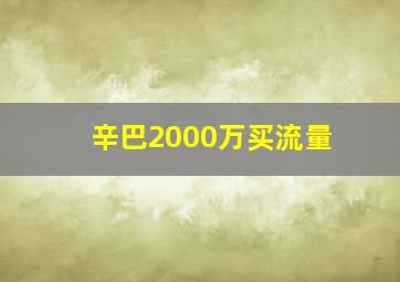 辛巴2000万买流量