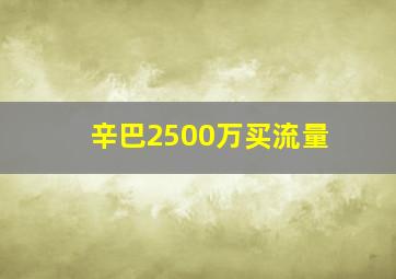 辛巴2500万买流量