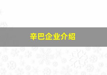 辛巴企业介绍