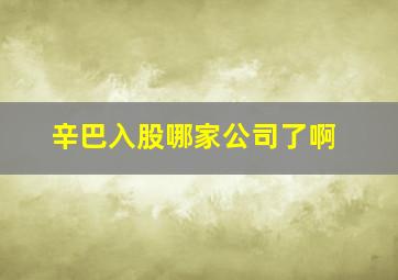 辛巴入股哪家公司了啊