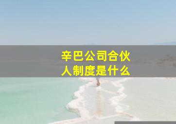 辛巴公司合伙人制度是什么