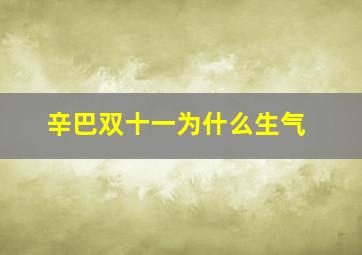 辛巴双十一为什么生气