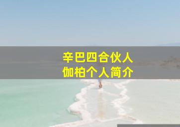 辛巴四合伙人伽柏个人简介