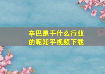 辛巴是干什么行业的呢知乎视频下载