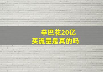 辛巴花20亿买流量是真的吗