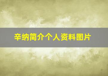 辛纳简介个人资料图片