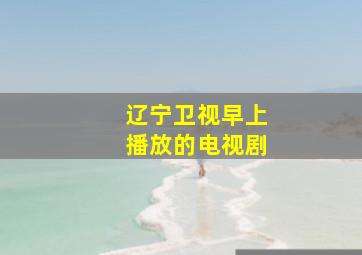 辽宁卫视早上播放的电视剧