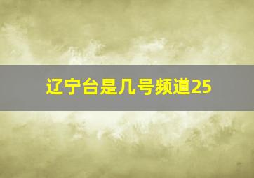 辽宁台是几号频道25