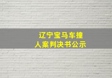 辽宁宝马车撞人案判决书公示