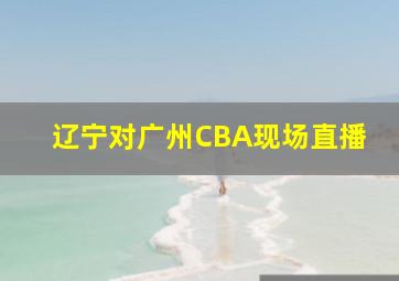 辽宁对广州CBA现场直播