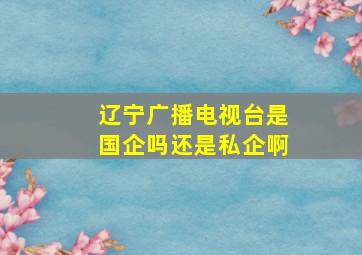 辽宁广播电视台是国企吗还是私企啊